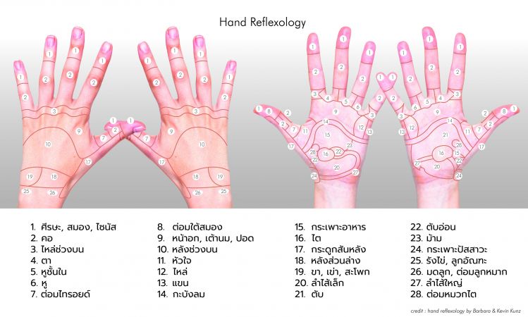 4 ท่า นวดกดจุดคลายกล้ามเนื้อ พร้อมเคล็ดลับถนอมมือให้เนียนนุ่ม