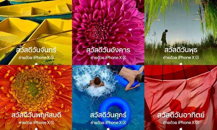 สวย ไม่เชย เซฟเลย! Apple ไทย ปล่อยภาพ สวัสดีวันจันทร์ - อาทิตย์